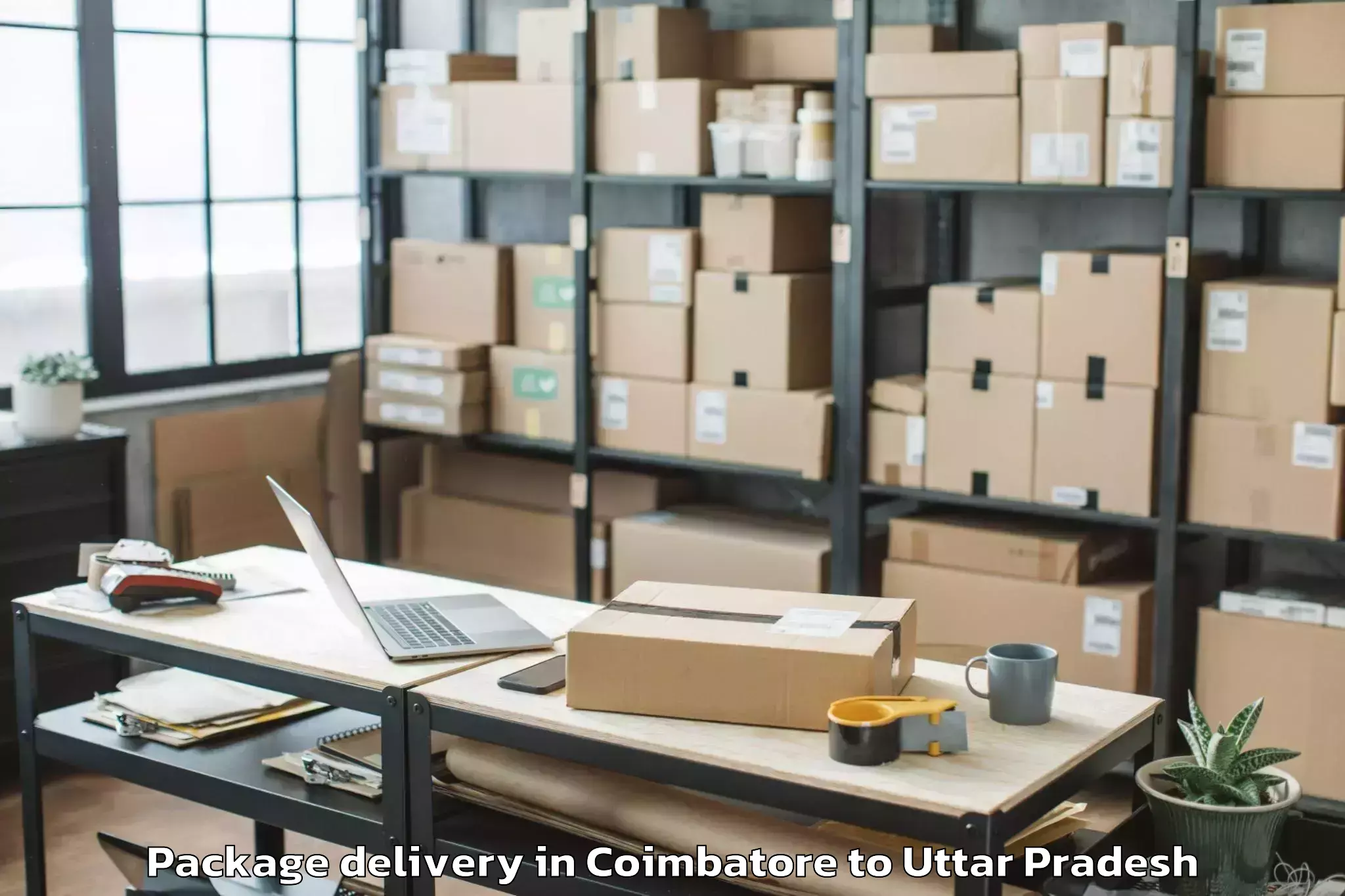 Top Coimbatore to Belthara Road Package Delivery Available